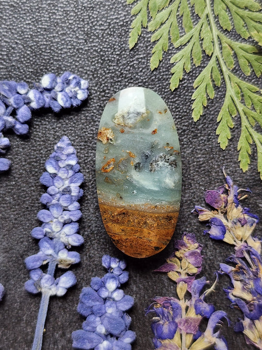 BC Ocean Picture Stone