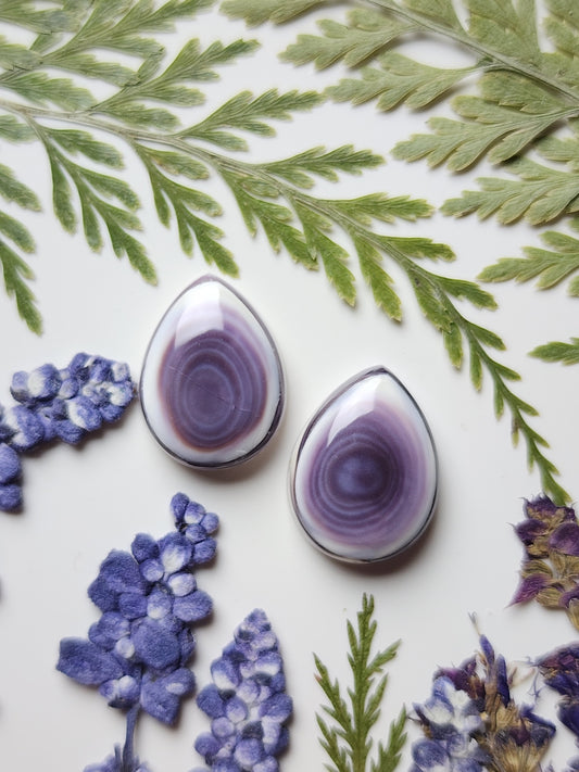 Wampum shell pair