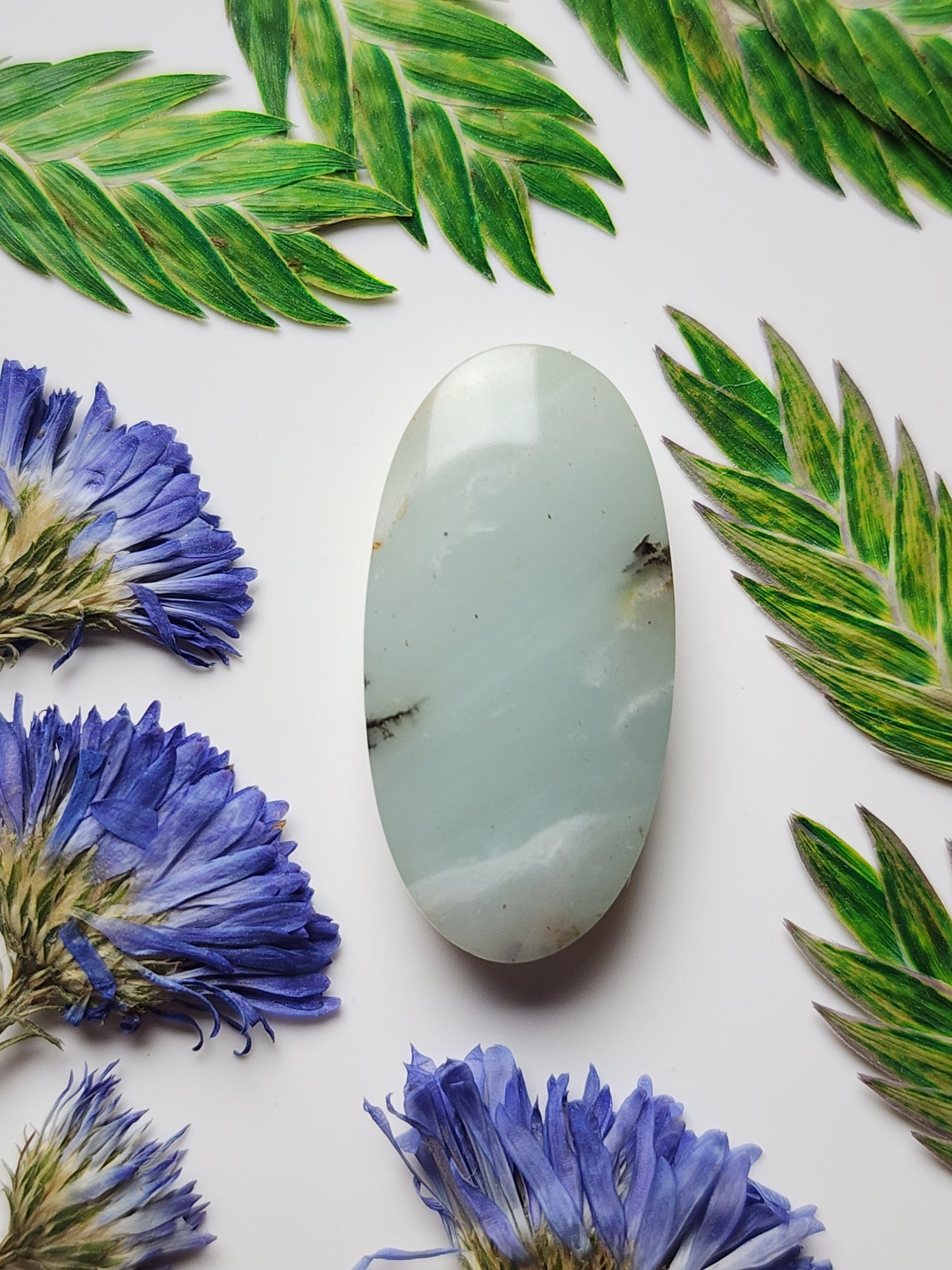 BC Ocean picture stone