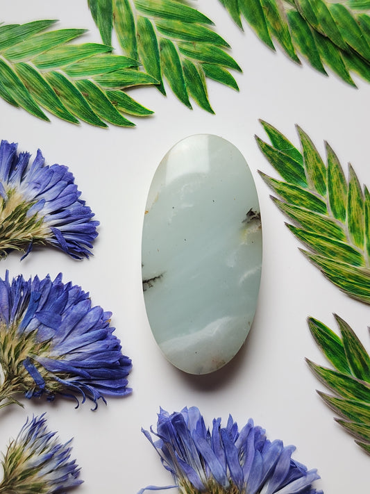 BC Ocean picture stone