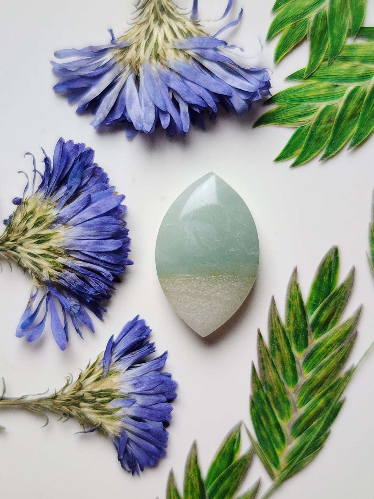 BC Ocean picture stone