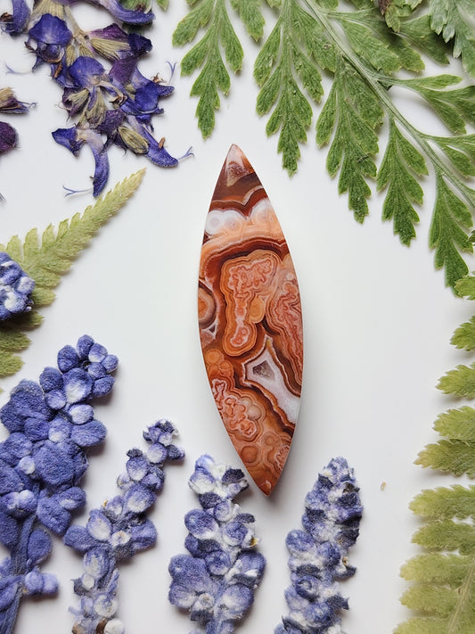 Laguna lace agate