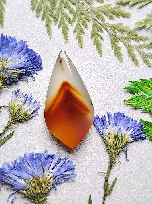 Montana agate