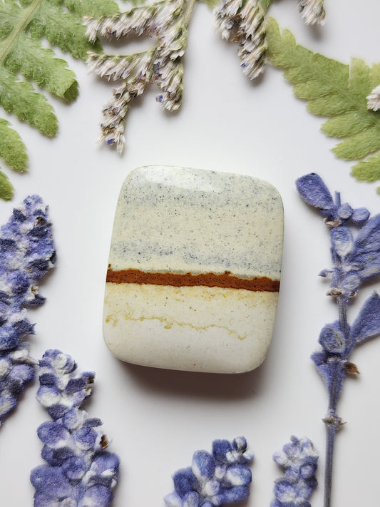 Chickem track picture jasper