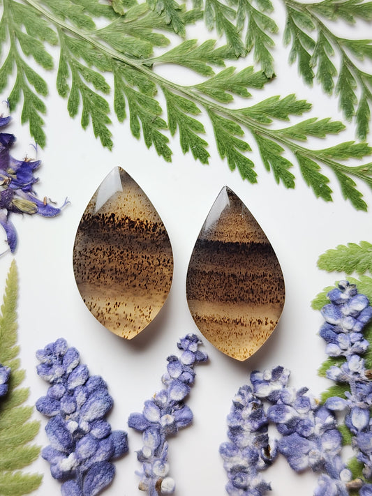 Montana agate pair