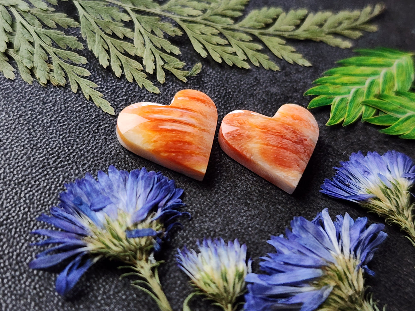 Spiny shell oyster heart pair