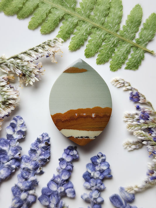 Owyhee picture jasper