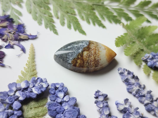 Starry night picture jasper