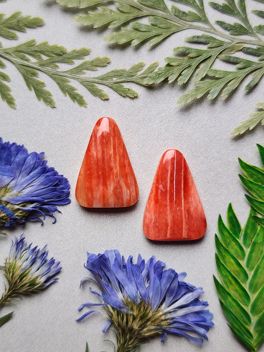 Spiny shell oyster pair