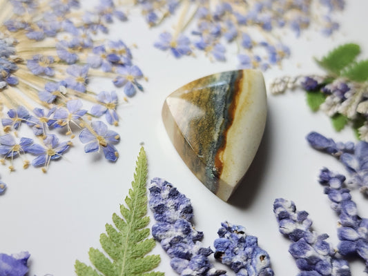 Starry night picture jasper