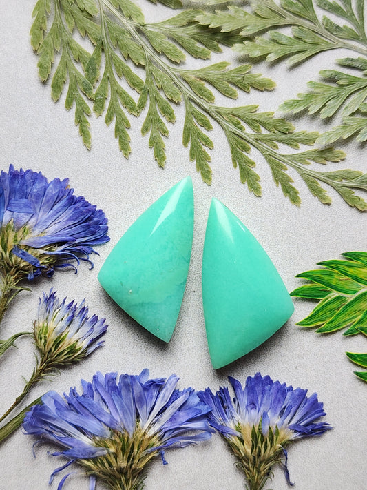 Newman Chrysoprase pair