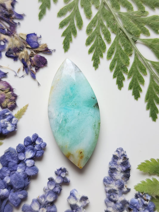 Petrified Blue opalized wood