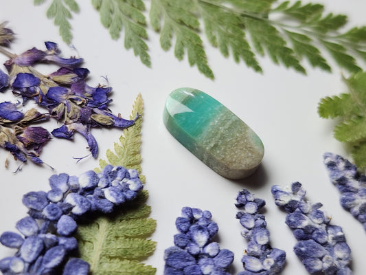 Petrified Blue opalized wood