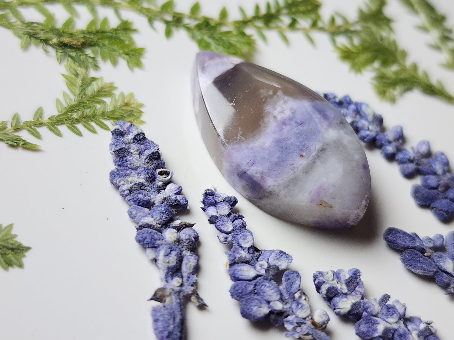 Morado Opal