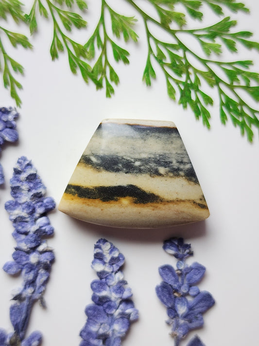 Starry night picture jasper