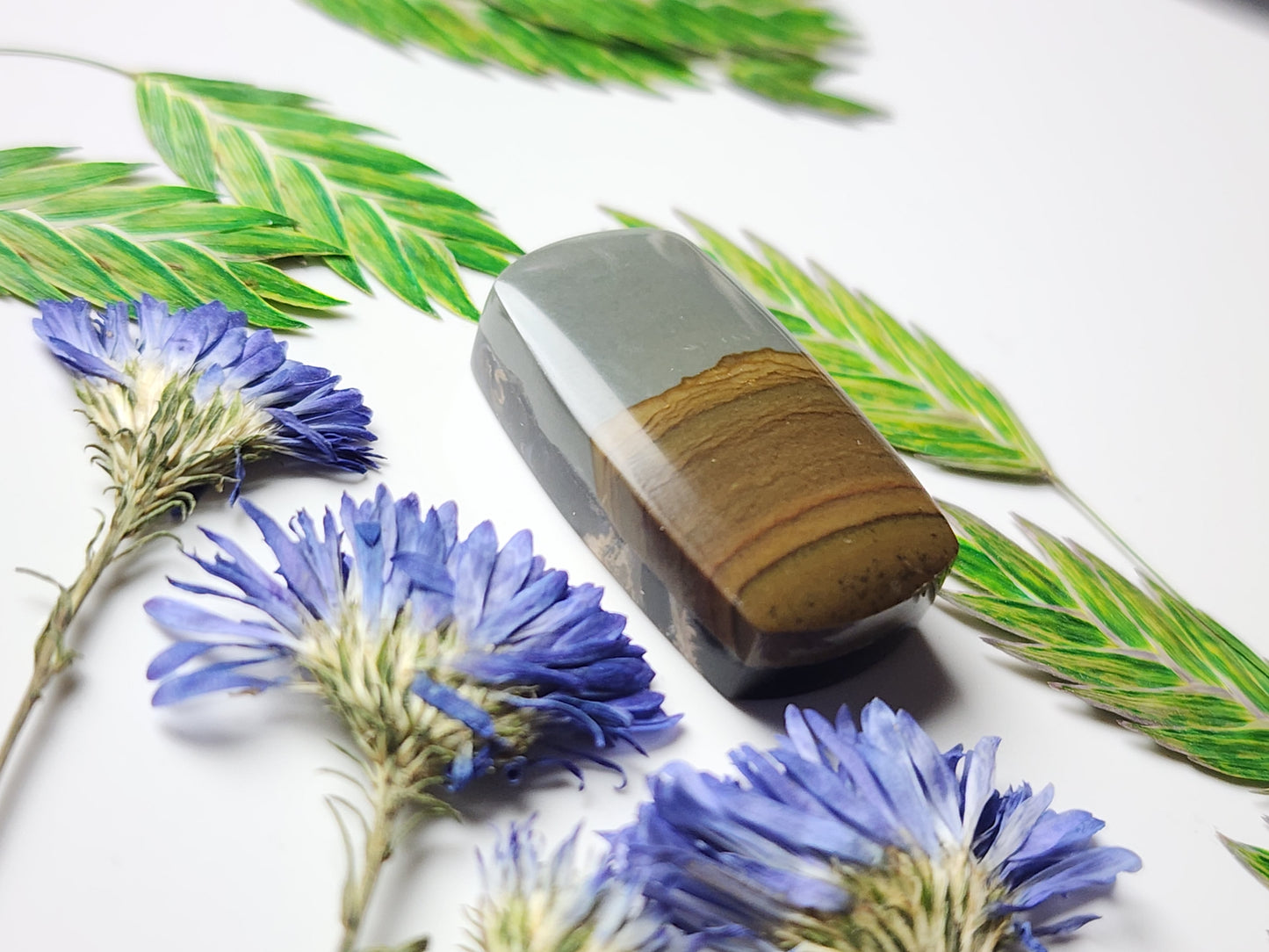 Spring mountain picture jasper