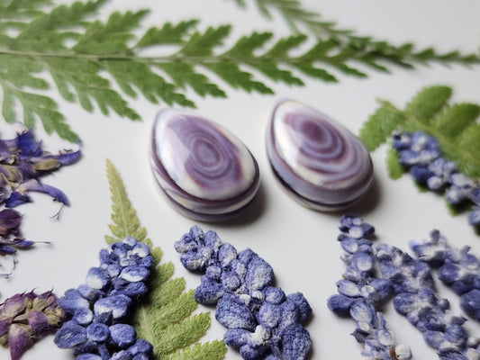 Wampum shell pair