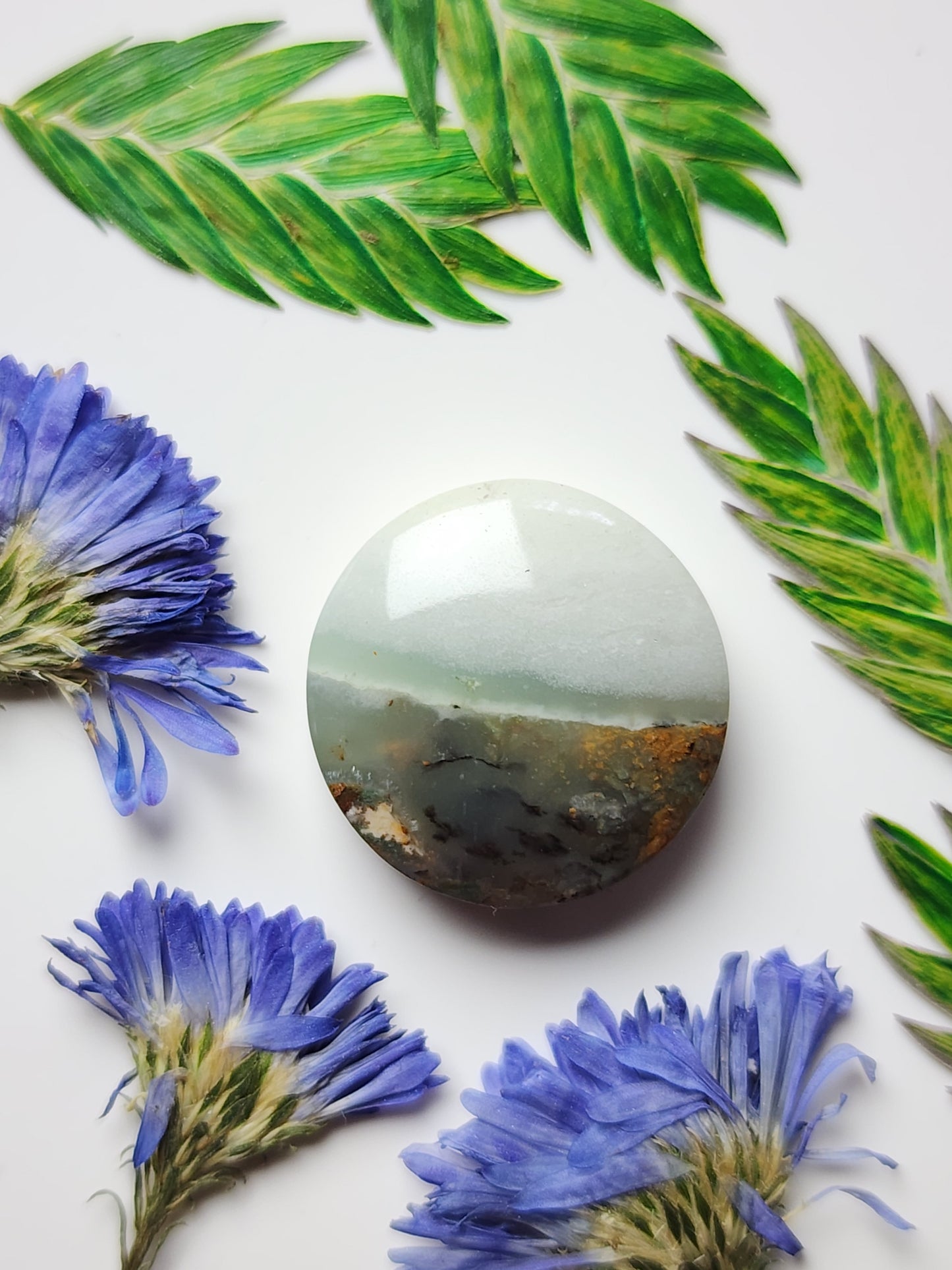 BC Ocean picture stone