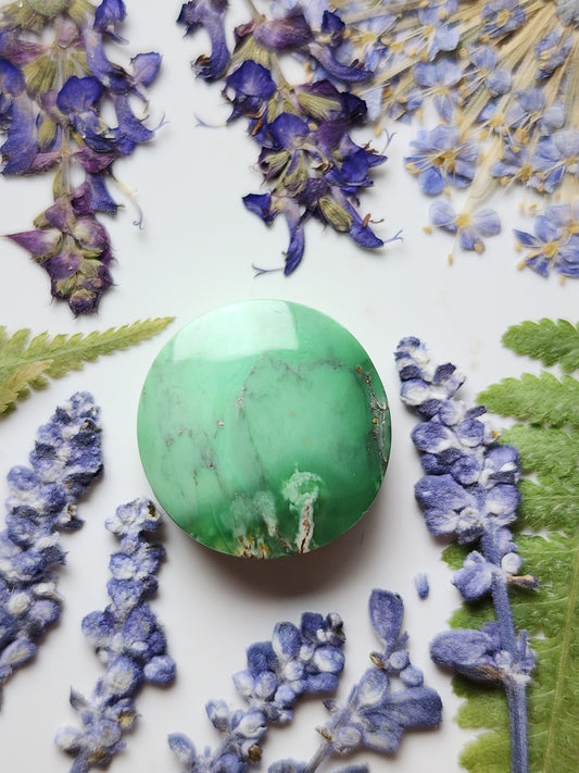 Australian Variscite