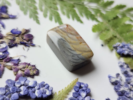 Orbs Polychrome jasper