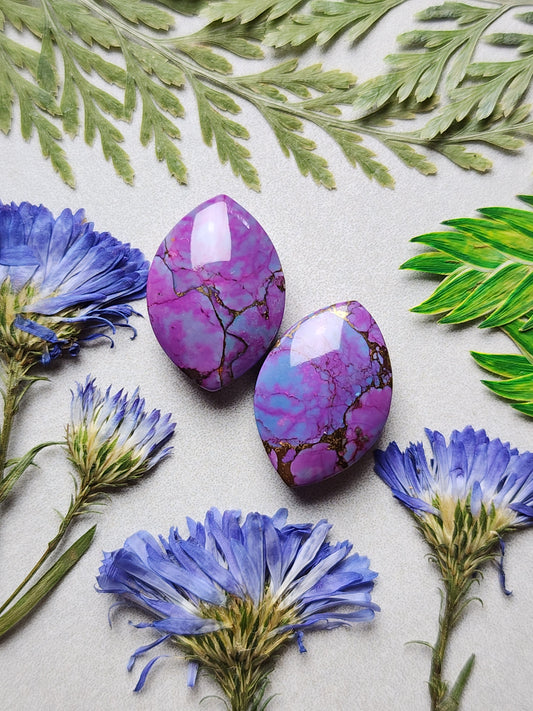 Kingman Mohave Turquoise with bronze pair