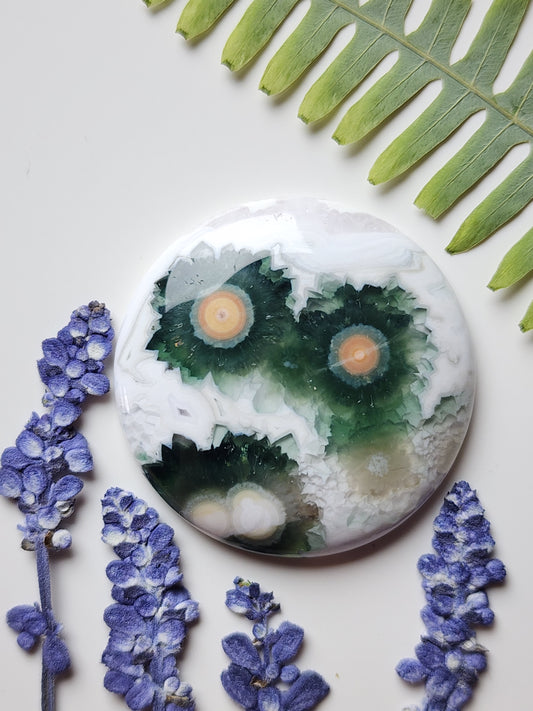 Ocean jasper