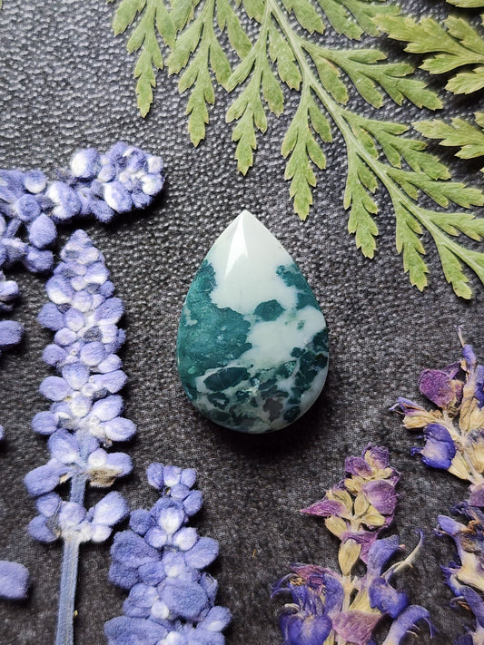 Hava Ridge jasper