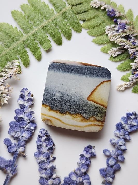 Starry night picture jasper