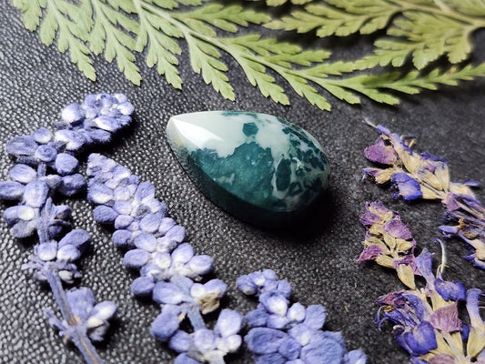 Hava Ridge jasper