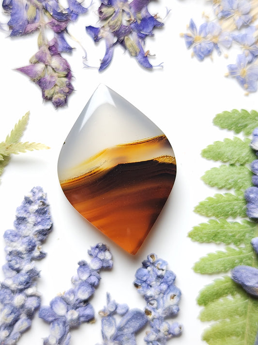 Montana agate
