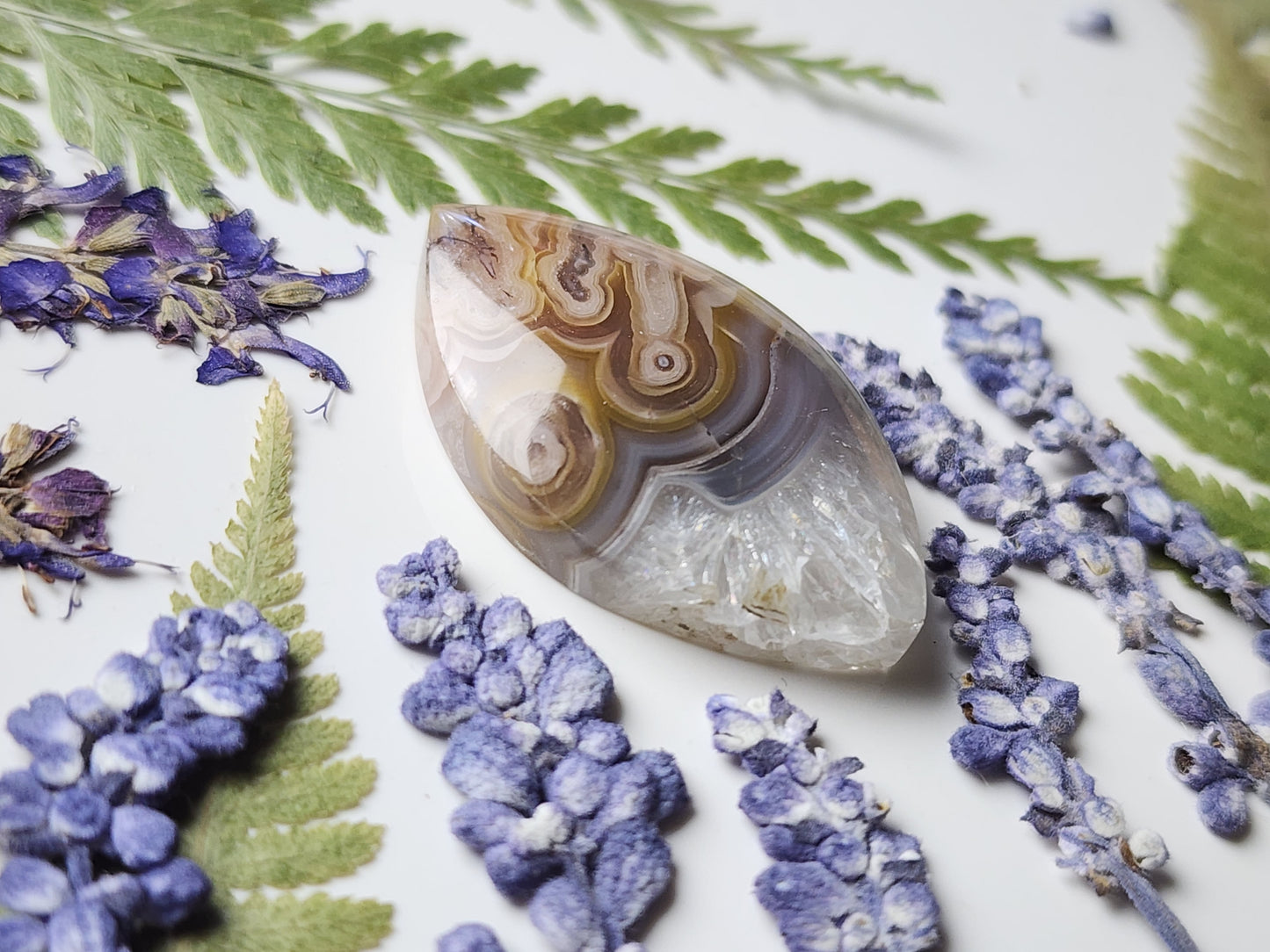Agua Nueva agate