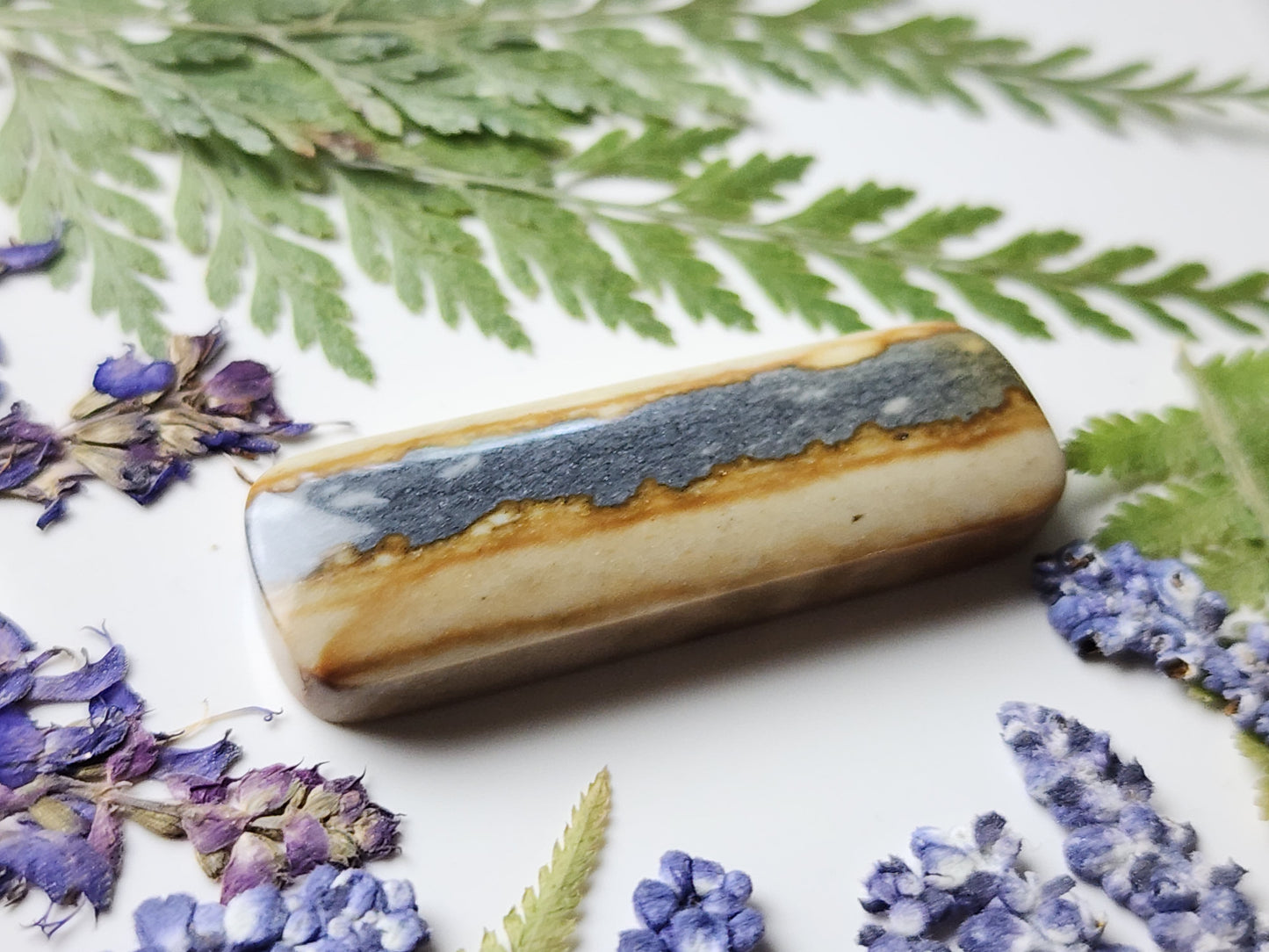 Starry night picture jasper
