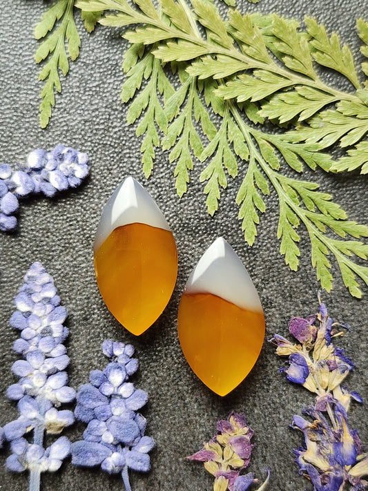 Montana agate pair