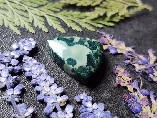 Hava Ridge jasper