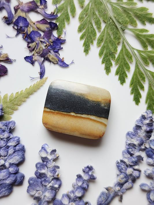 Starry night picture jasper