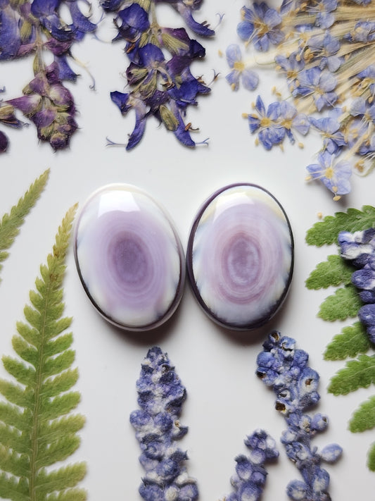 Wampum shell pair