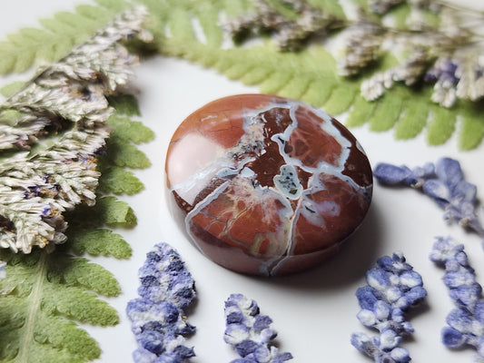 Owyhee jasper