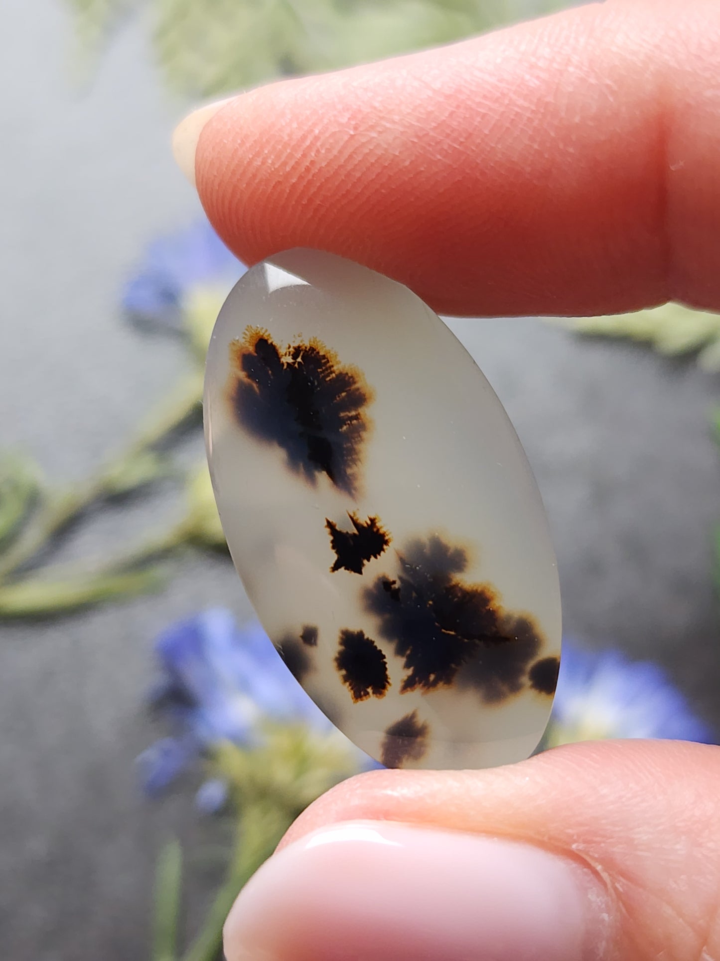 Montana agate