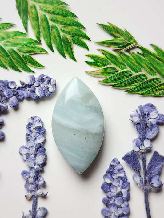 BC Ocean picture stone