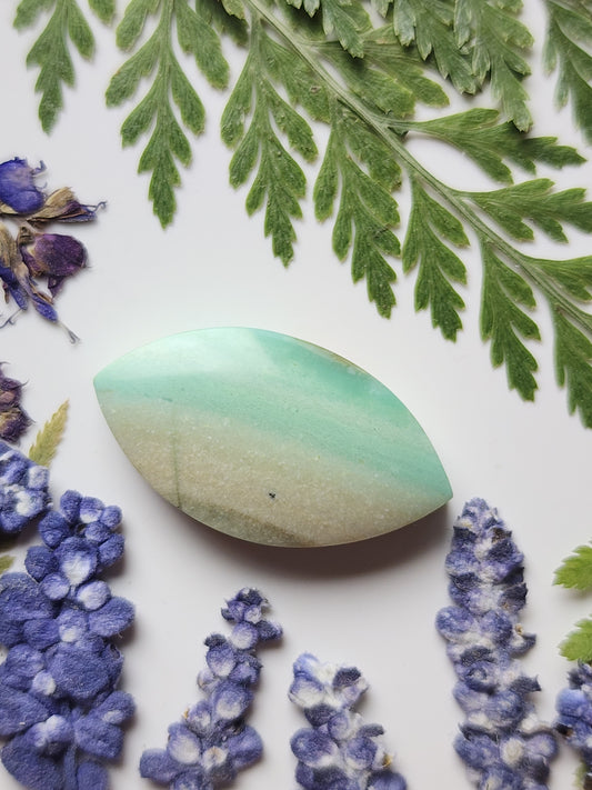 Petrified blue opalized wood