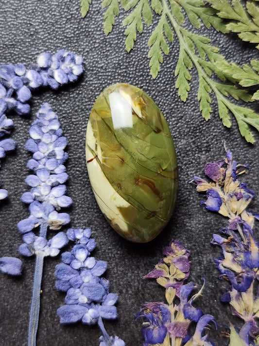 Morrisonite jasper
