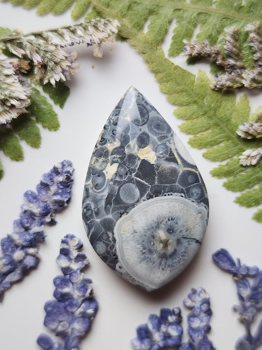 Galaxy Rhyolite