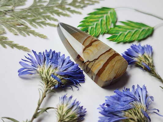 Cripple Creek picture jasper