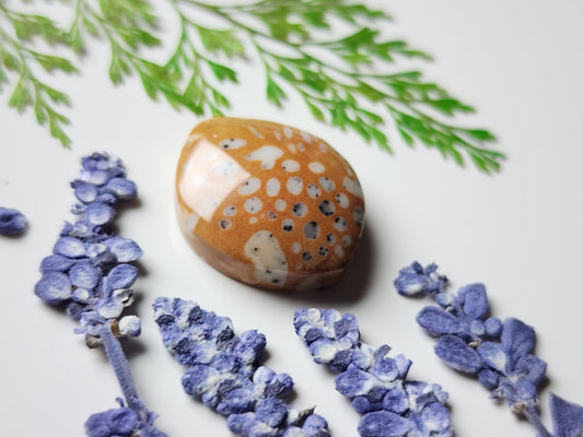 Spotted Fawn jasper