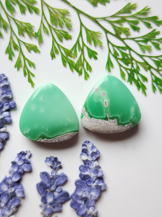 Lucin Variscite pair