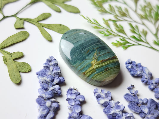 Gary Green jasper