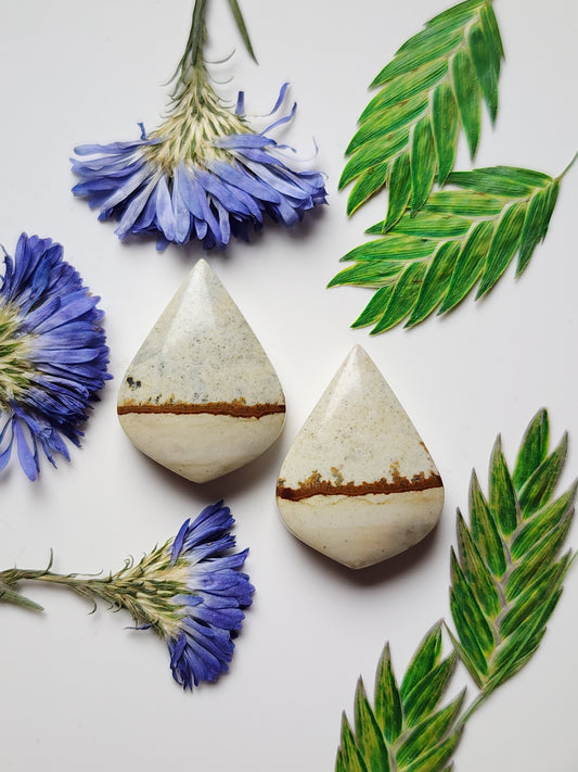 Chicken track picture jasper pair