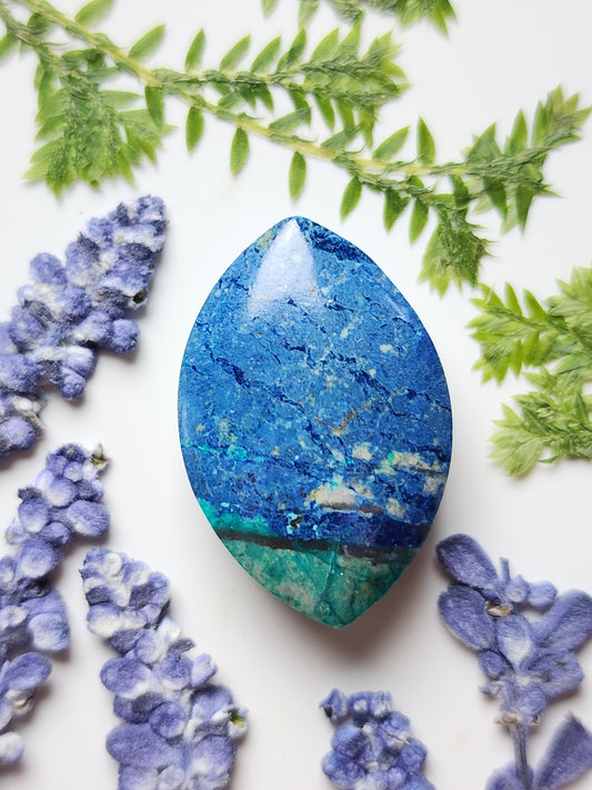 Bluebird Azurite Chrysocolla
