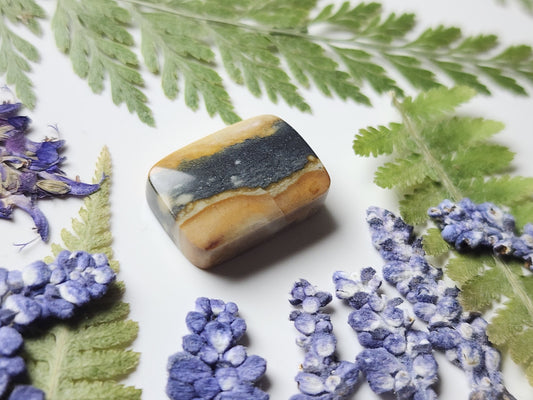 Starry night picture jasper