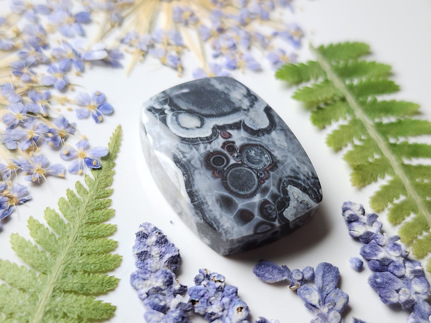 Galaxy Rhyolite